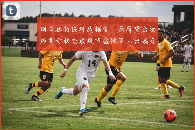 明日独行侠对战掘金濃眉有望出场约基奇状态成疑华盛顿等人出战存疑