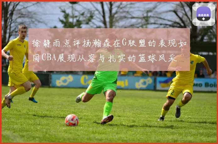 徐静雨点评杨瀚森在G联盟的表现如同CBA展现从容与扎实的篮球风采