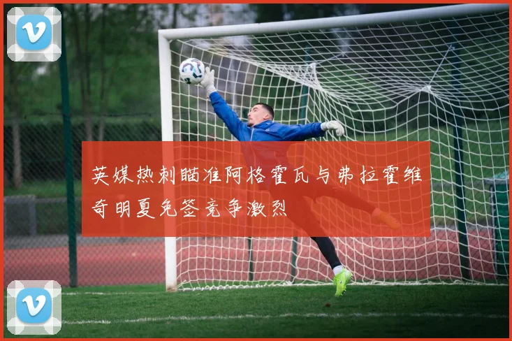英媒热刺瞄准阿格霍瓦与弗拉霍维奇明夏免签竞争激烈